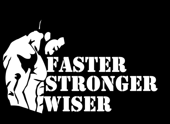 Faster Stronger Wiser Fitness