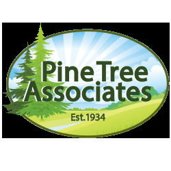 Pine Tree Associates club logo.