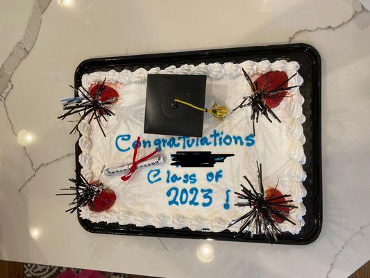 My daughter's grad cake. After I fixed it.