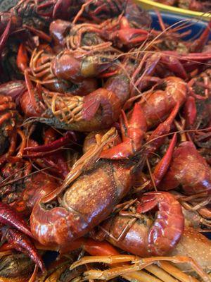 Large, fairly easy to peel, end of season crawfish.