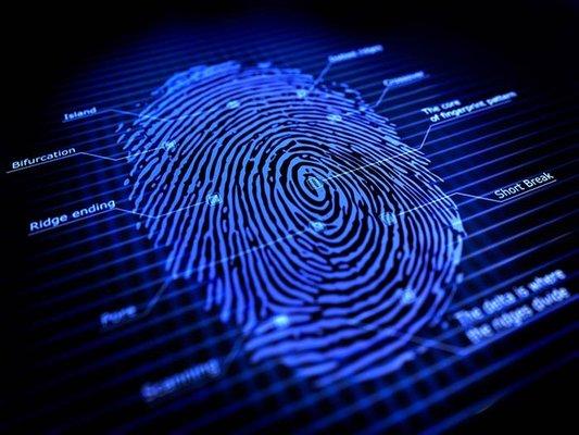 Krimson Security & Fingerprinting