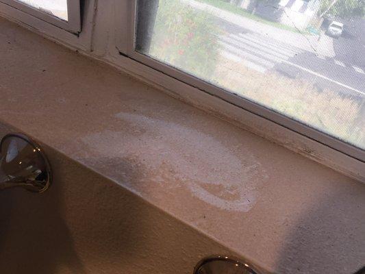 Bathroom windowsill is disgusting