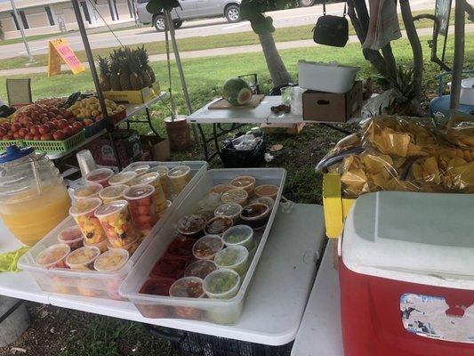 Homemade salsa and cut fruit