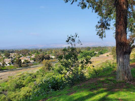 View from the hilltop