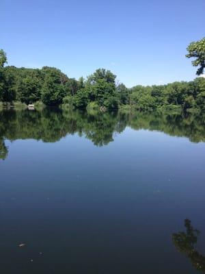 View from the dock