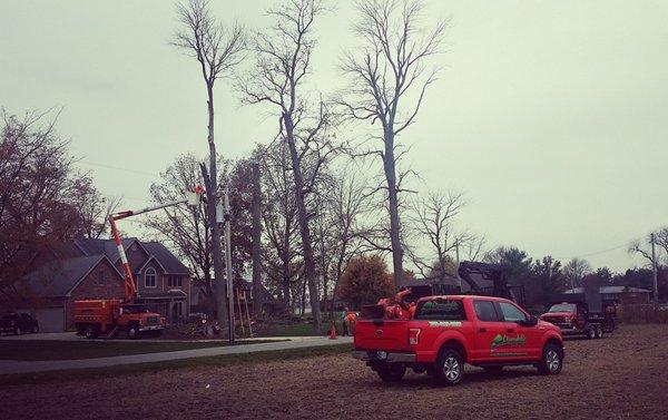 Dependable Tree Service, Inc