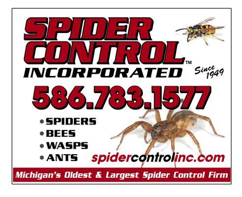 Spider Control