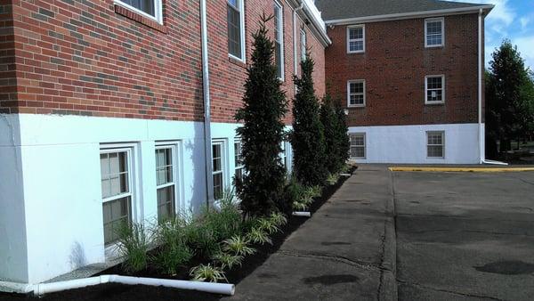 After of planting install