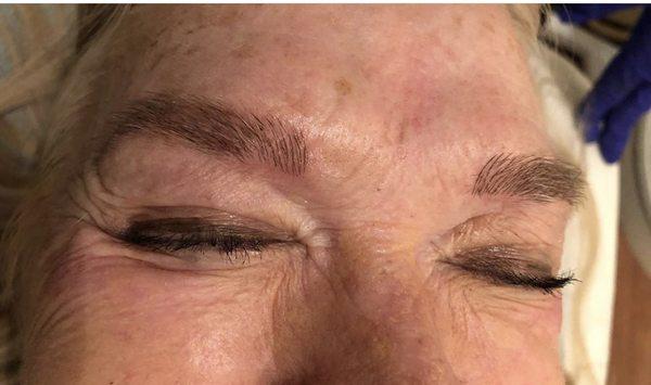 Micro Blading Results