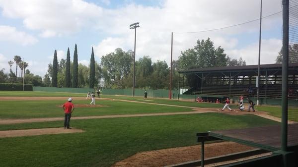 Grass infield...wood stands...net to protect stands like LLWS in Williamsport, PA!