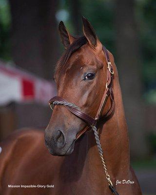 Final Furlong Racing Stable