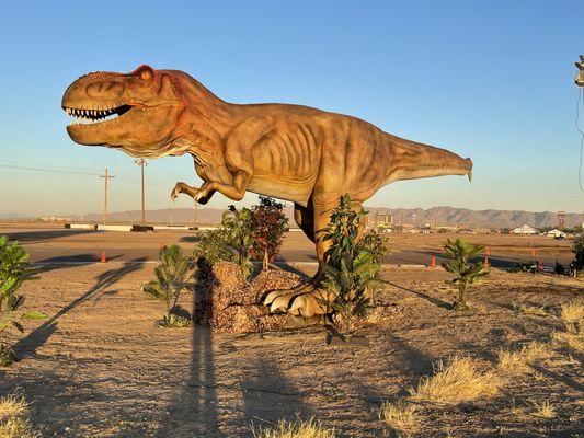 Our T-Rex is 41 feet long!