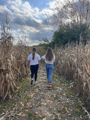 Corn maze