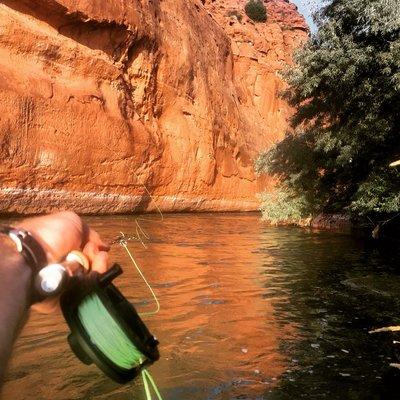 Fly fishing on the Big Horn River.