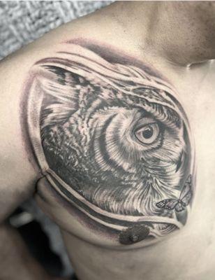 Cover up tattoo Owl