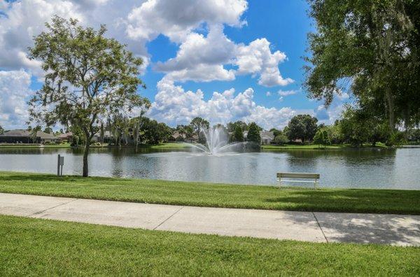 Lakeside walking path