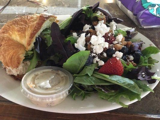 1/2 Hula Chicken Salad Sandwich 1/2 Berry Salad!! Delicious and beautiful. Glad the dressing was on the side, almost didn't need any!