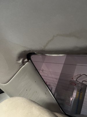 Water damage (back seat glass)