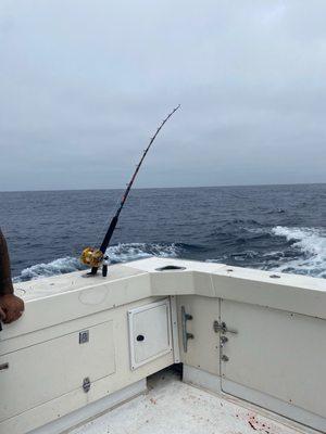 Breakaway Sportfishing Charters