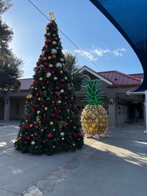 See the pineapple  hiding behind the Christmas  tree?