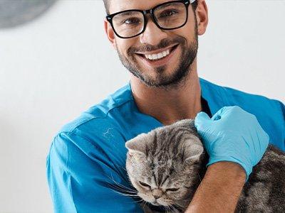 Veterinary insurance at vetinsure