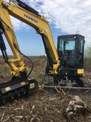 Brush Mowing