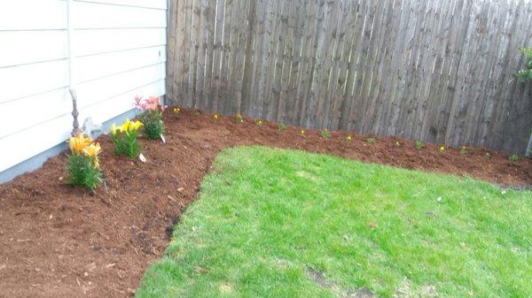 Simple, low maintenance landscaping.