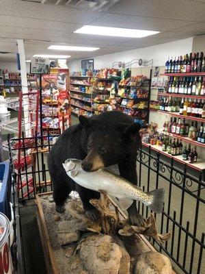 The bear in the store