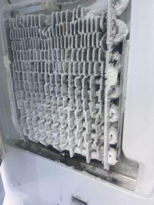 Future Cooling Refrigerator