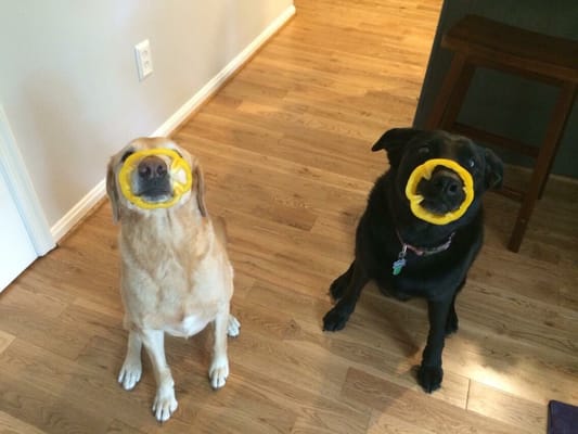 Chloe and her BFF, Pepper, who are, ironically, holding bell peppers on their noses!