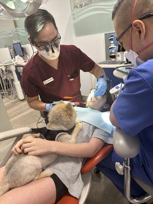 Teddy laid down and took all anxiety of a 1st cavity fill away. It was amazing!