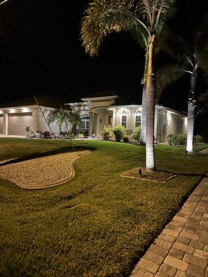 Spot lights on Royal Palms and Pathway Lighting.