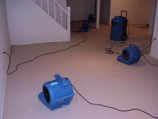 Wet basement that we're drying. We have a dehumidifier & air movers in place to dry the carpet & structure.