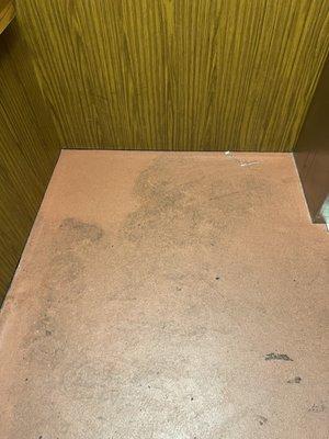 I cleaned a little spot to show the manager. She said that the elevator was old and not cleanable.