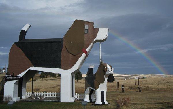 Fall rainbow tickling Sweet Willy's nose