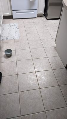 Grout cleaning