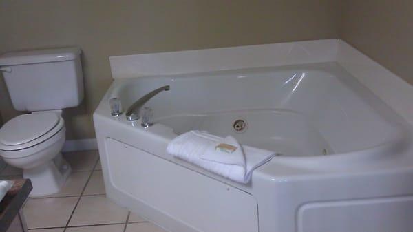 Jacuzzi tub in the master bedroom, so relaxing!!