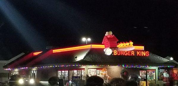 Decorated for Christmas. Snoopy and a sleigh of Woodstocks on the roof!!