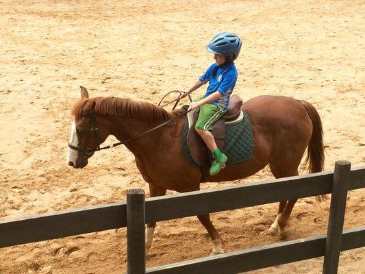 Ellenwood Equestrian Center