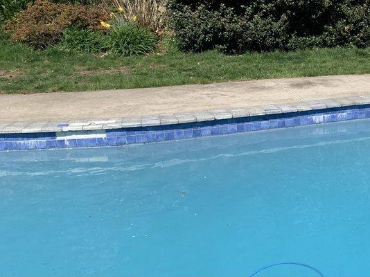 Pool Pro Restoration & Service