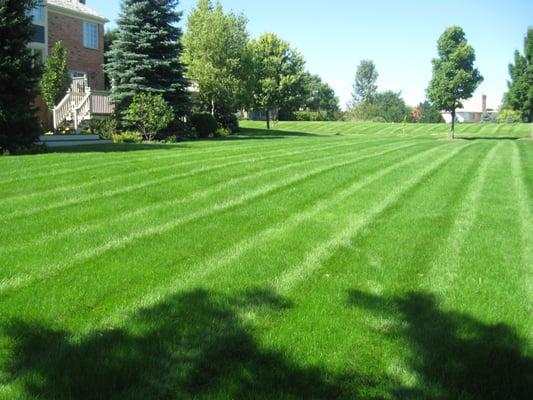 The back yard of one of our accounts in South Barrington.