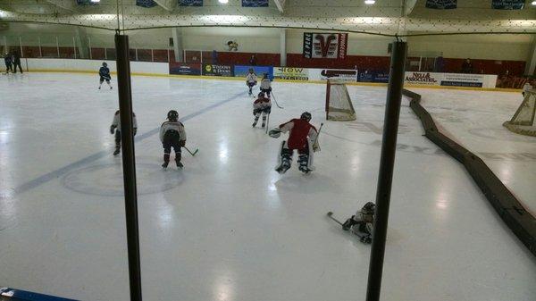 The little kids playing hockey.