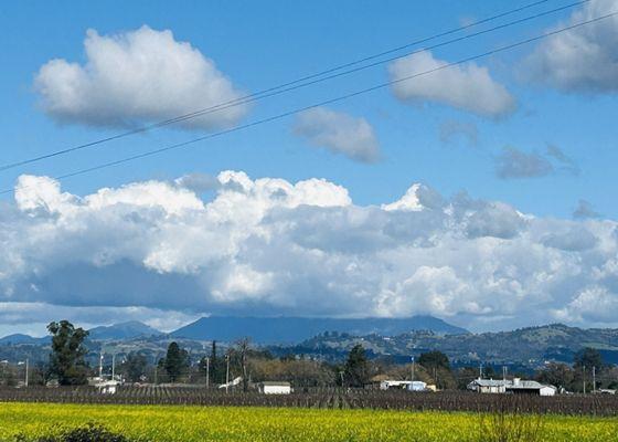 Santa Rosa Creek Greenway Trail