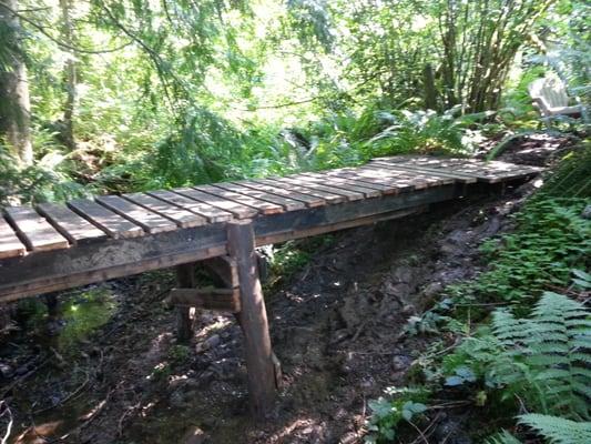 Trails over a creek and through the woods.