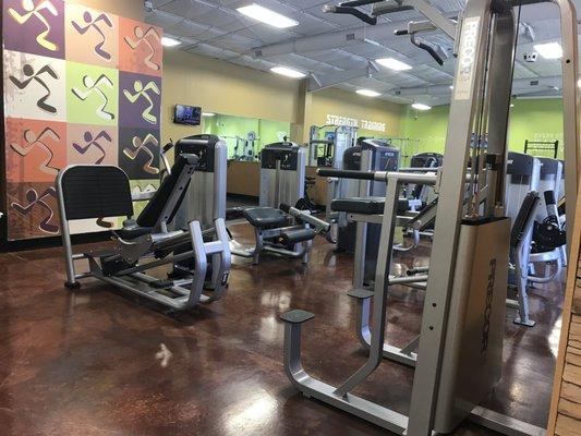 Anytime Fitness