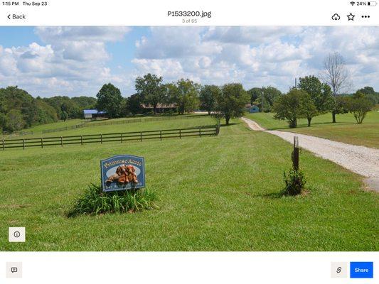 Primrose Acres Kennel