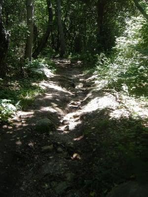 Short hiking trail