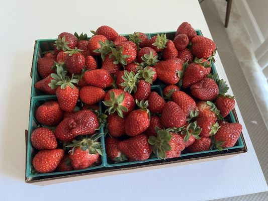 $20 for 6 boxes of strawberries!