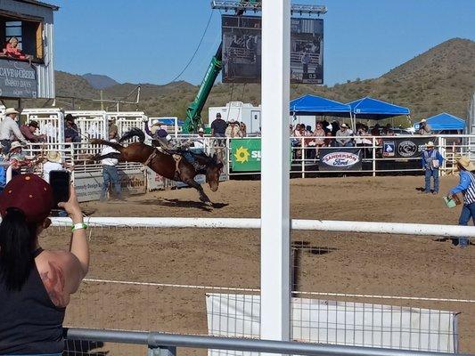 Bronc Riding (bareback).