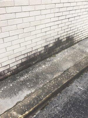 Let the pro pressure washing clean your mold